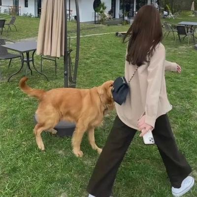 短暂的生命